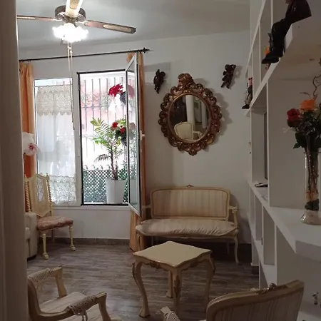 Appartement Center Flat